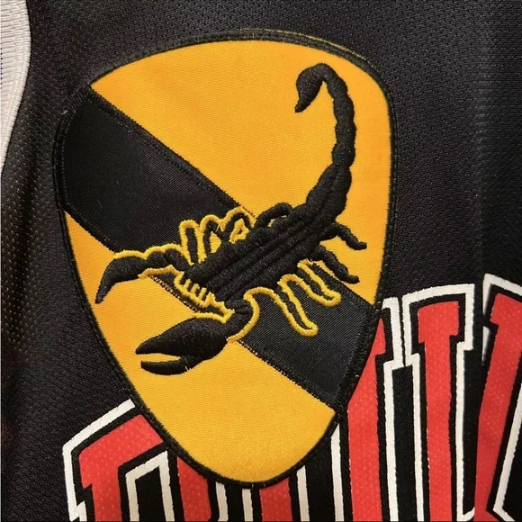 Gxfr x rebirth Champion Bulls 91 Black Jersey - Picture 5 of 5